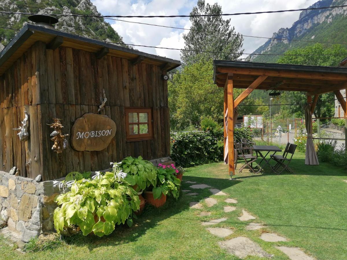 Apartamentos Mobison Salinas de Bielsa Dış mekan fotoğraf