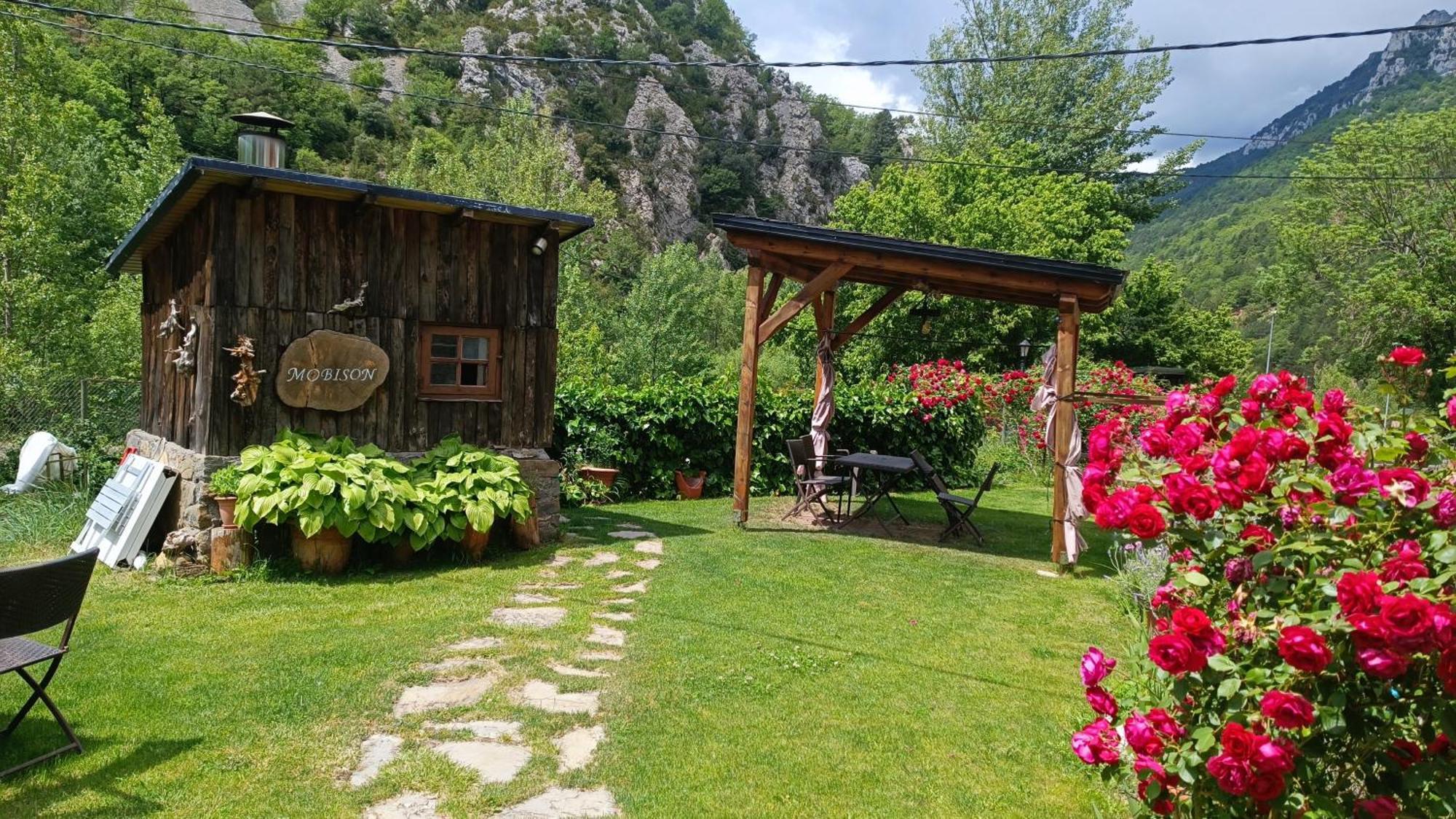 Apartamentos Mobison Salinas de Bielsa Dış mekan fotoğraf