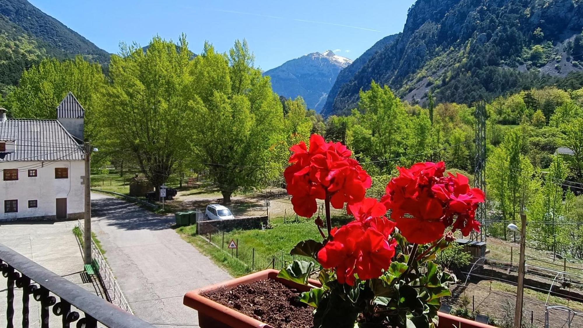 Apartamentos Mobison Salinas de Bielsa Dış mekan fotoğraf